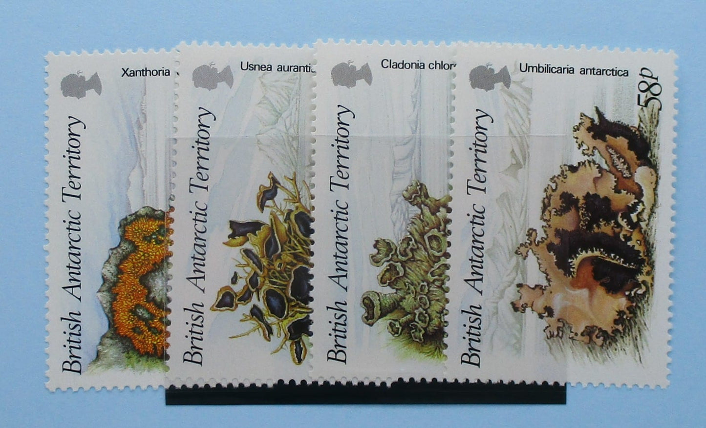 British Antarctic Territory Stamps, 1989, SG167-170, Mint image 0