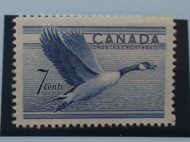 Canada Stamps, 1952, SG443, Mint image 0