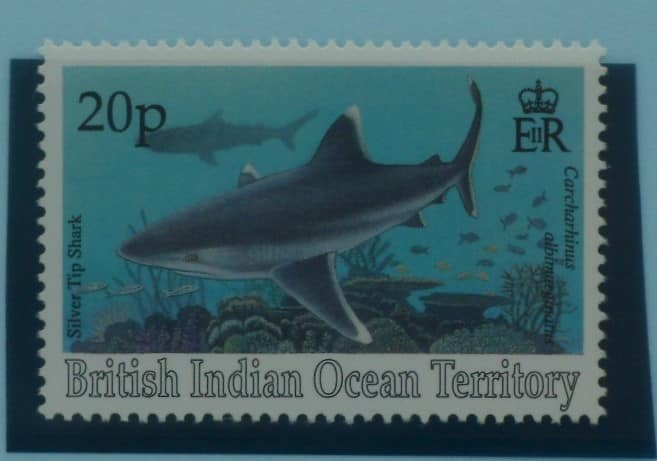British Indian Ocean Territory Stamps, 1994, SG156, Mint image 0