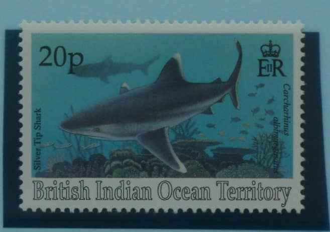 British Indian Ocean Territory Stamps, 1994, SG156, Mint image 0