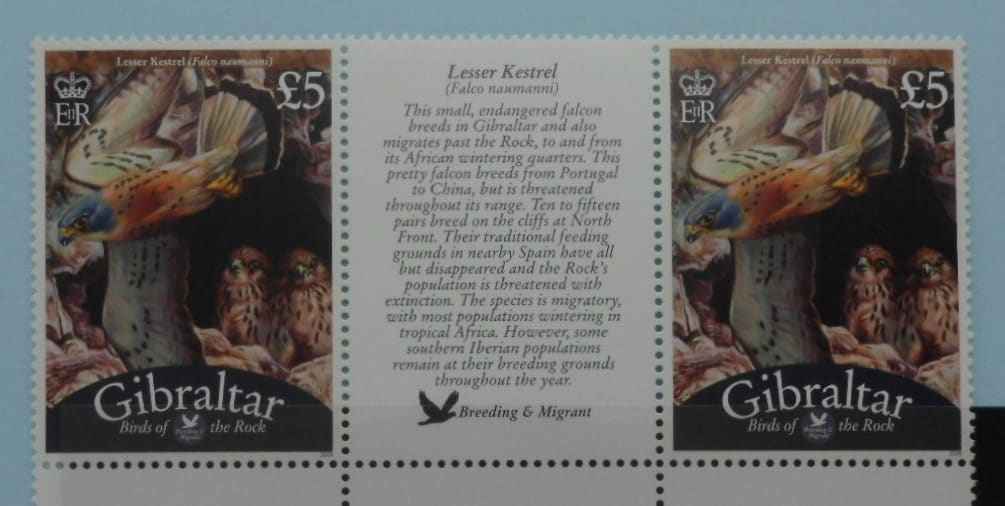 Gibraltar Stamps, 2008-12, SG1260*, Mint image 0