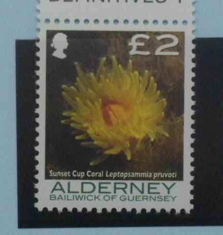 Alderney Stamps, 2006-07, SGA307, Mint image 0