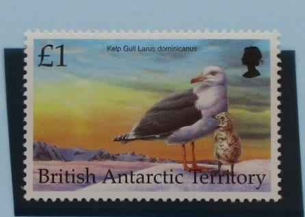British Antarctic Territory Stamps, 1998, SG299, Mint image 0