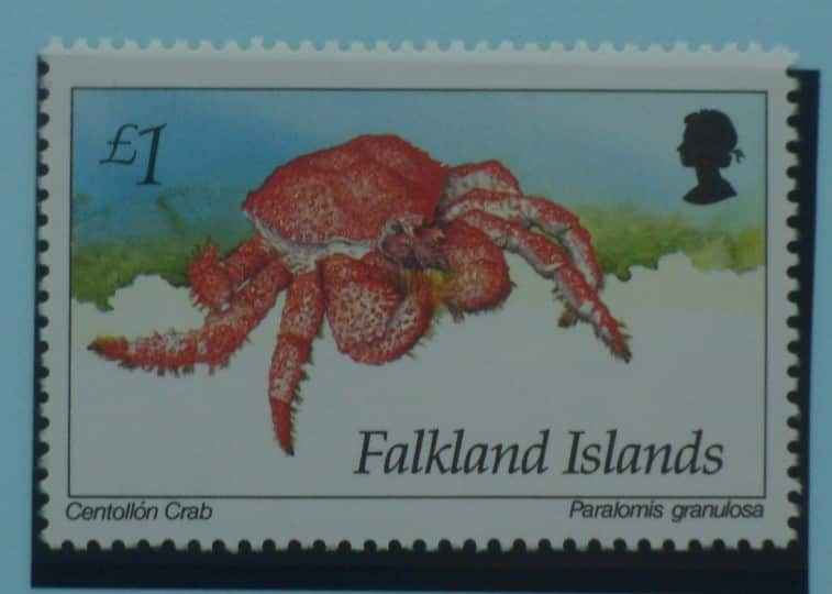 Falkland Islands Stamps, 1994, SG710, Mint image 0