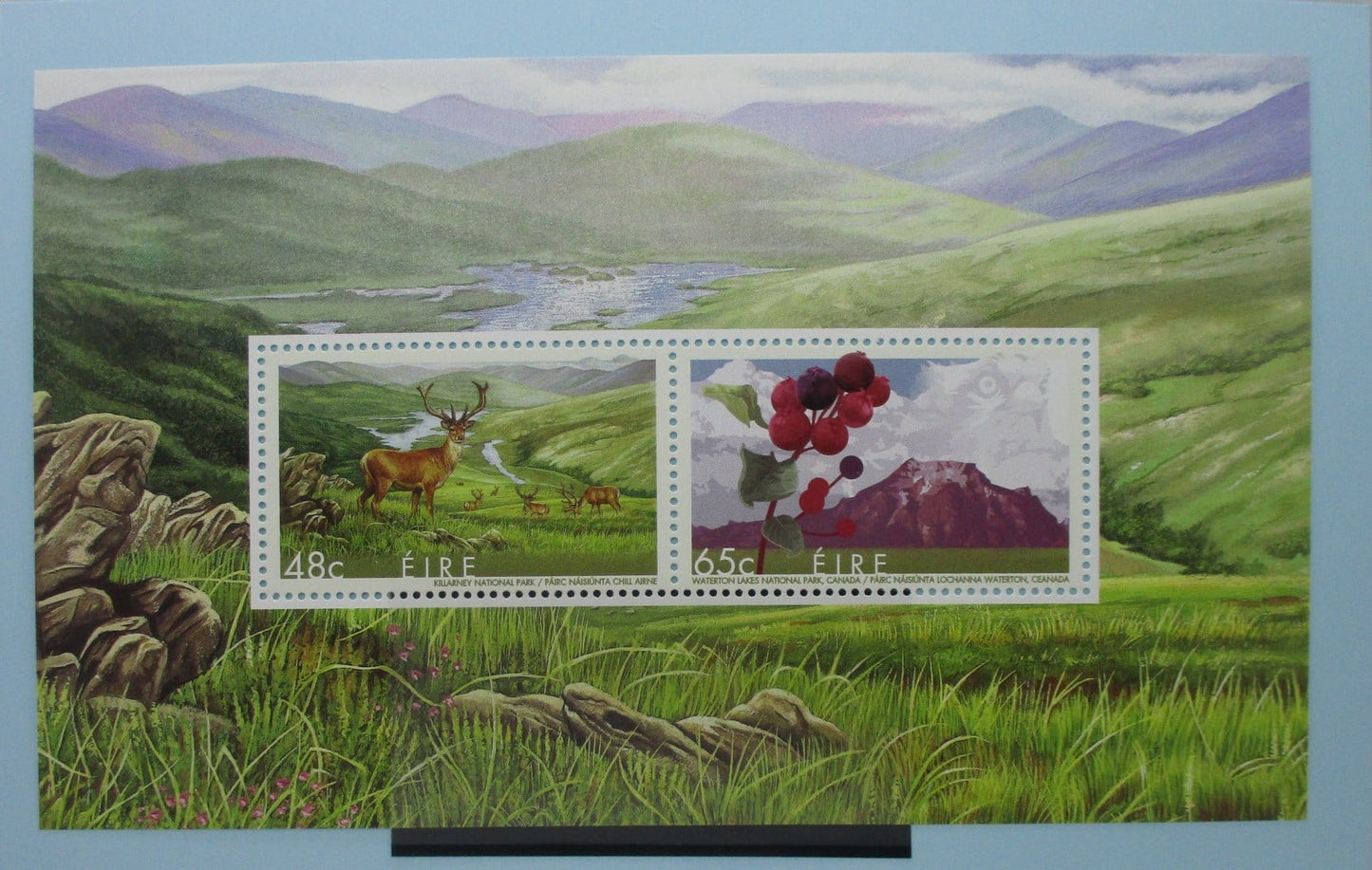 Ireland Stamps, 2005, MS1737, Mint image 0