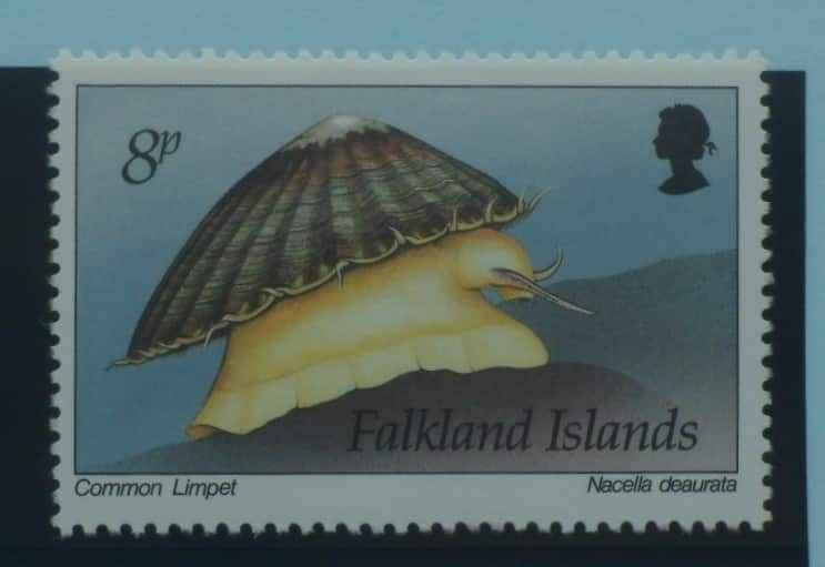 Falkland Islands Stamps, 1994, SG703, Mint image 0