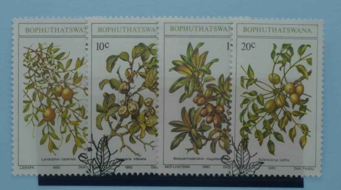 Bophuthatswana Stamps, 1980, SG56-59, Used image 0