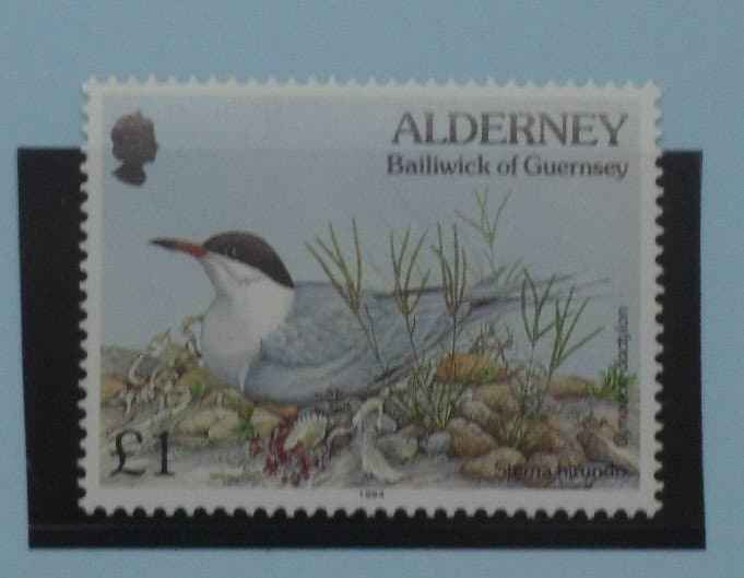 Alderney Stamps, 1994-98, SGA76, Mint image 0