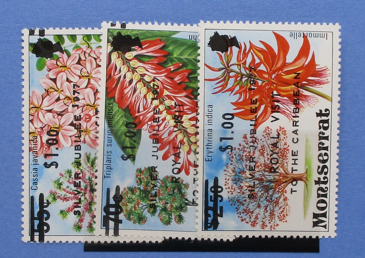Montserrat Stamps, 1977, SG409-411, Mint image 0