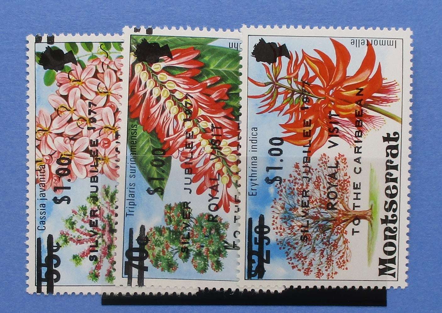 Montserrat Stamps, 1977, SG409-411, Mint image 0