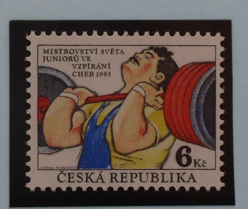 Czech Republic Stamps, 1993, SG8, Mint image 0