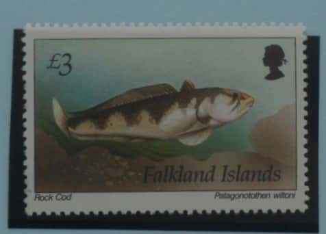 Falkland Islands Stamps, 1994, SG711, Mint image 0