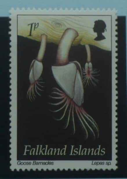 Falkland Islands Stamps, 1994, SG701, Mint image 0