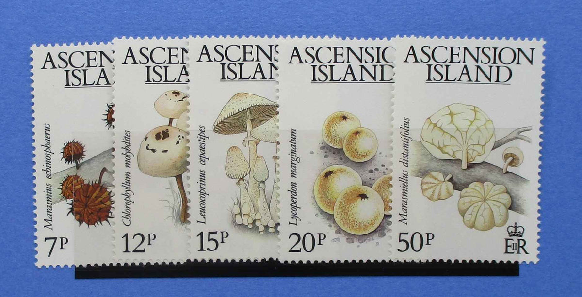 Ascension Island Stamps, 1983, SG332-336, Mint