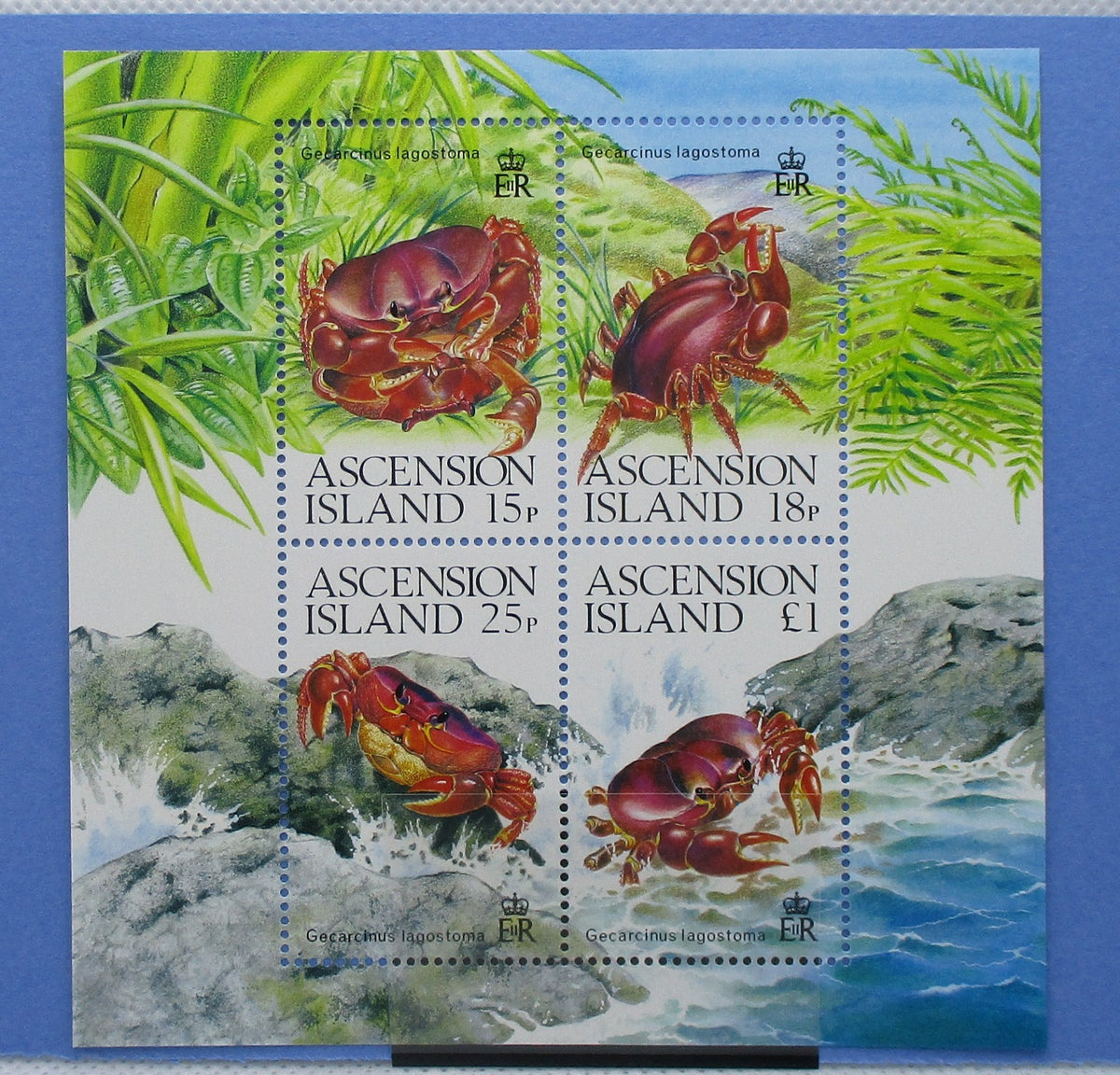 Ascension Island Stamps, 1989, MS491, Mint