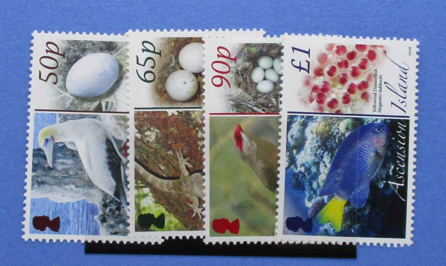 Ascension Island Stamps, 2008, SG993-996, Mint
