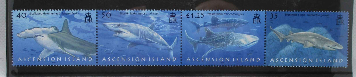 Four Ascension Island postage stamps featuring different shark species, printed in blue shades, with 'ASCENSION ISLAND' printed along the bottom.