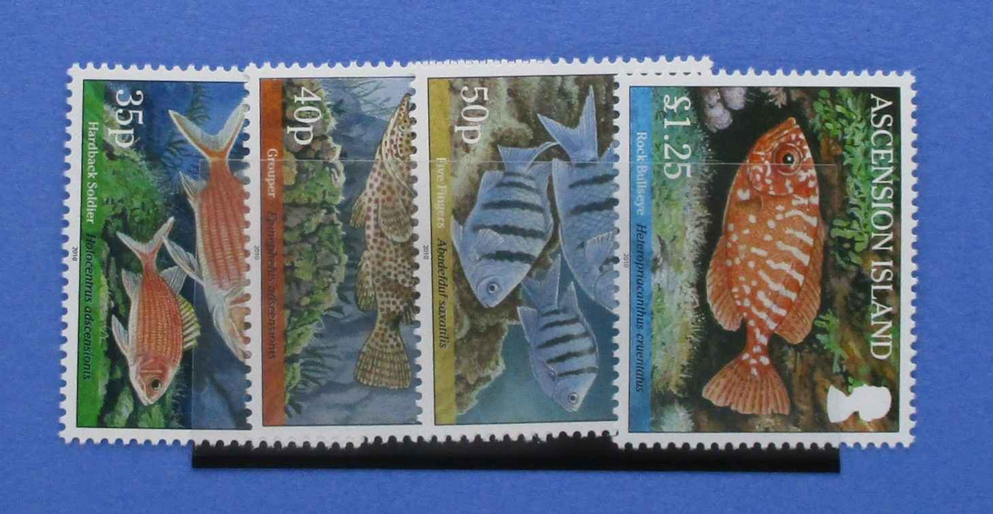Four postage stamps featuring colorful fish illustrations from Ascension Island, displayed side by side on a blue background.