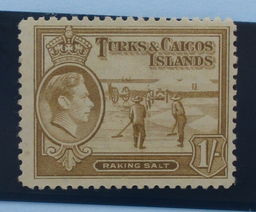A vintage Turks and Caicos Islands postage stamp featuring a profile portrait of King George V, a crown, workers raking salt, and the text 'Turks & Caicos Islands' and 'Raking Salt'. The stamp is printed in brown on an off-white paper background and is photographed against a dark background.