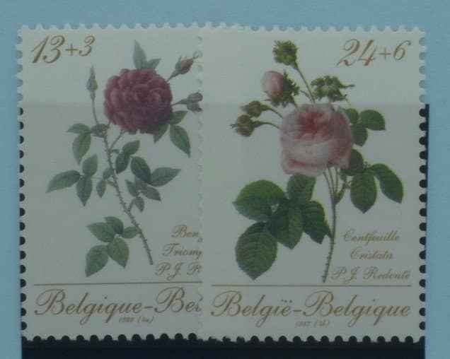 Belgium Stamps, 1988, SG2943-2944, Mint image 0