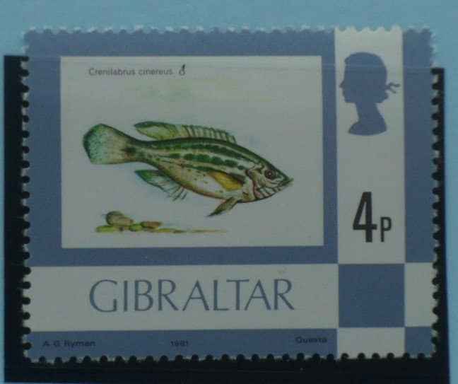 Gibraltar Stamps, 1977-82, SG379b, Mint image 0