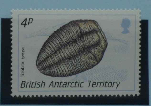 British Antarctic Territory Stamps, 1990, SG174, Mint image 0