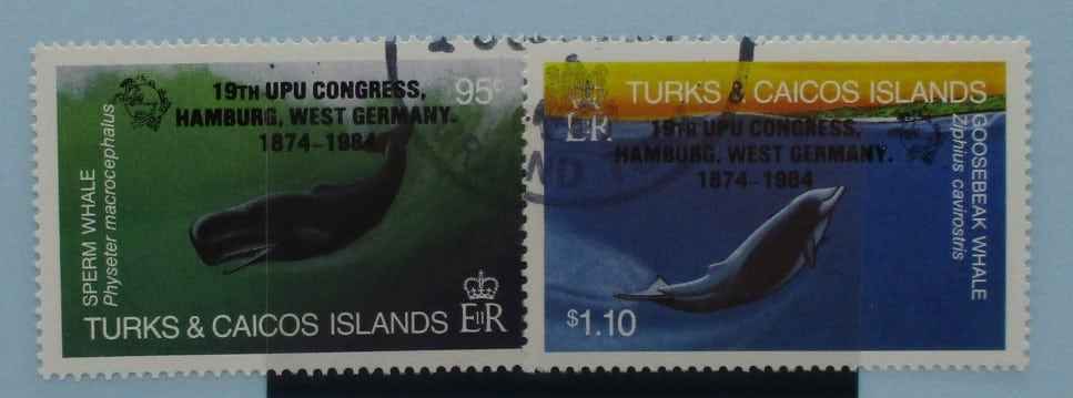 Turks and Caicos Islands Stamps, 1984, SG810-811, Used image 0