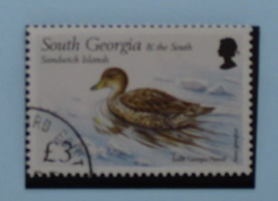South Georgia and South Sandwich Islands Stamps, 1999, SG304, Used image 0