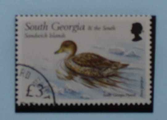 South Georgia and South Sandwich Islands Stamps, 1999, SG304, Used image 0