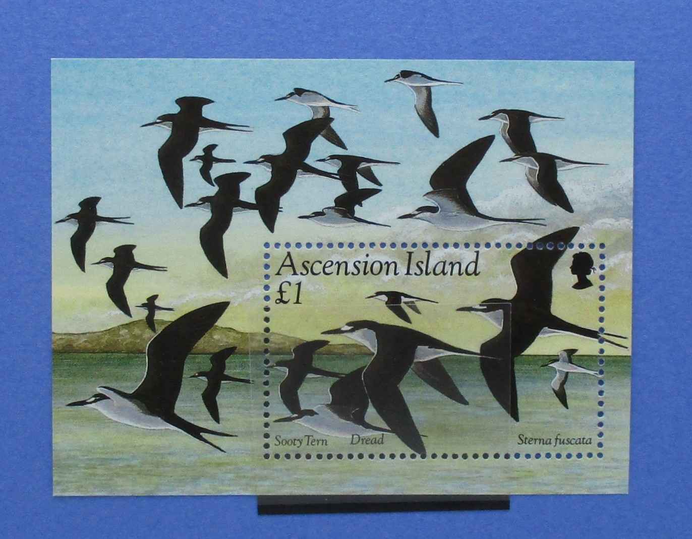 Ascension Island Stamps, 1994, MS637, Mint - Manor Stamps