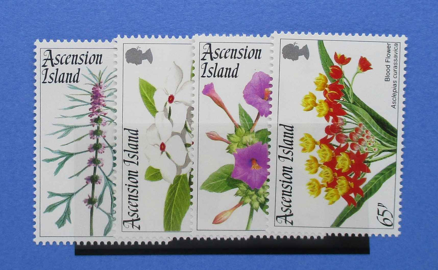 Ascension Island Stamps, 1995, SG643-646, Mint - Manor Stamps