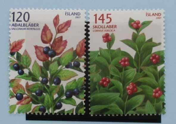 Iceland Stamps, 2007, SG1183-1184, Mint image 0