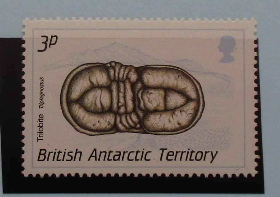British Antarctic Territory Stamps, 1990, SG173, Mint image 0