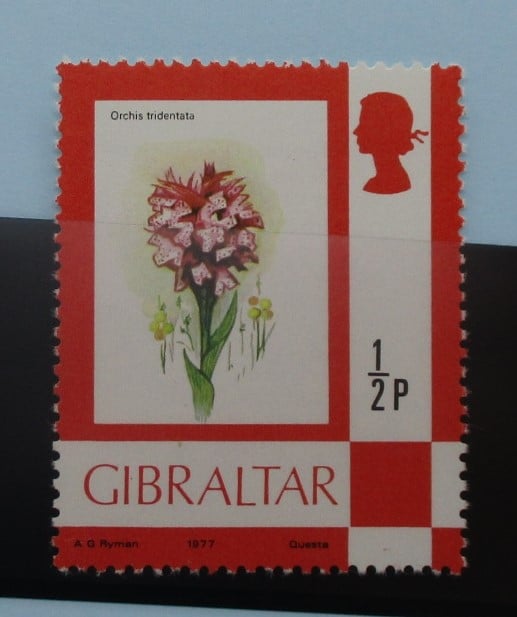 Gibraltar Stamps, 1977-82, SG374, Mint image 0