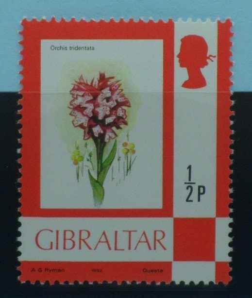 Gibraltar Stamps, 1977-82, SG374a, Mint image 0