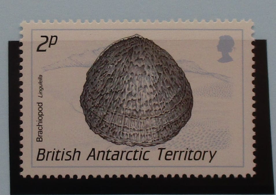 British Antarctic Territory Stamps, 1990, SG172, Mint image 0