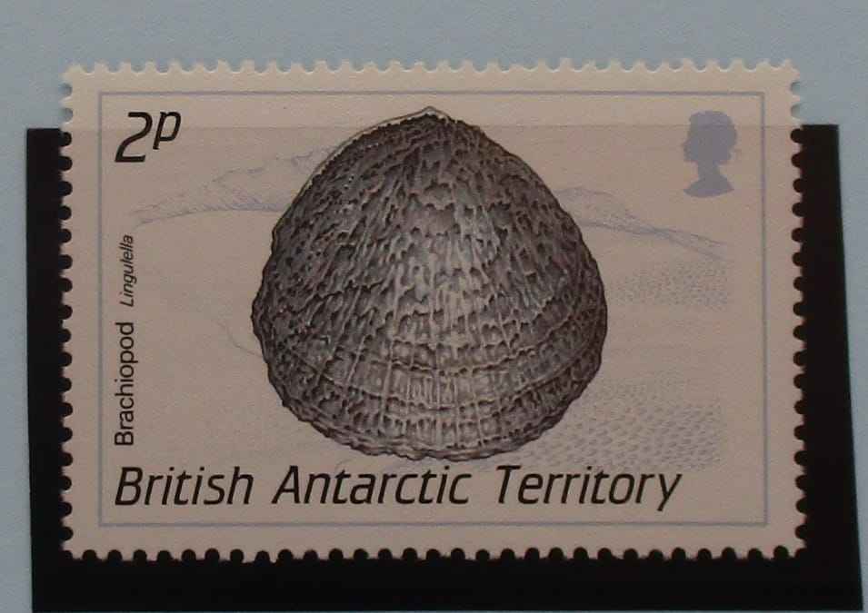 British Antarctic Territory Stamps, 1990, SG172, Mint image 0