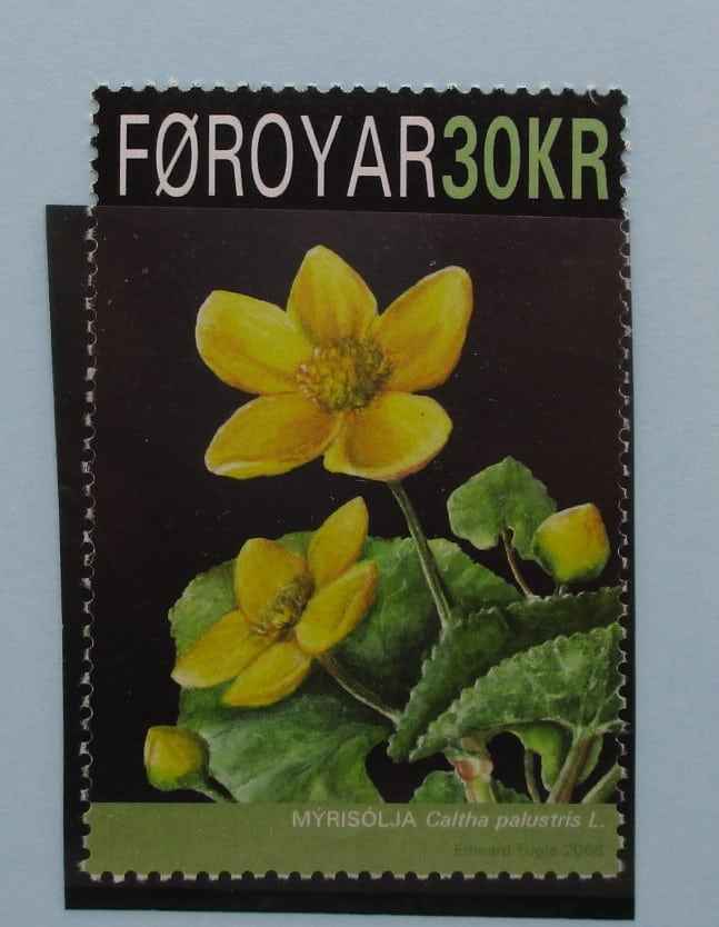 Faroe Islands Stamps, 2008, SG567, Mint image 0