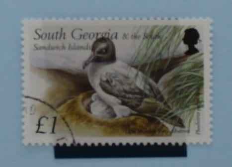 South Georgia and South Sandwich Islands Stamps, 1999, SG303 Used image 0