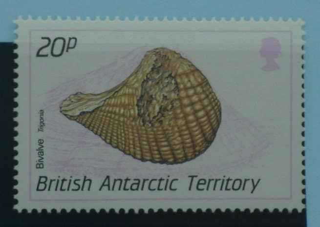 British Antarctic Territory Stamps, 1990, SG181, Mint image 0