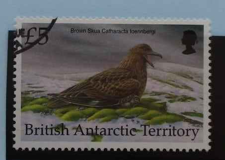 British Antarctic Territory Stamps, 1998, SG301, Used image 0