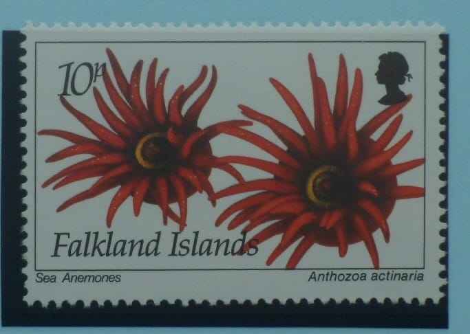 Falkland Islands Stamps, 1994, SG705, Mint image 0