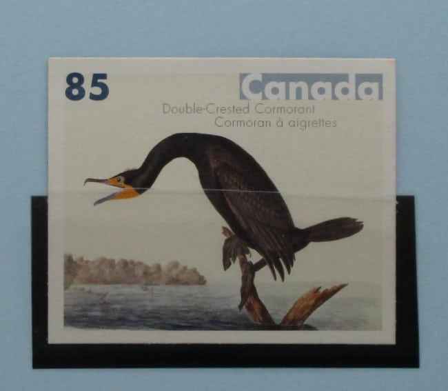 Canada Stamps, 2005, SG2344, Mint image 0