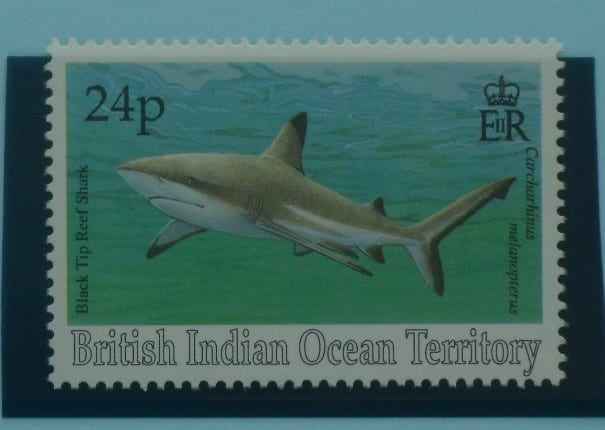 British Indian Ocean Territory Stamps, 1994, SG157, Mint image 0