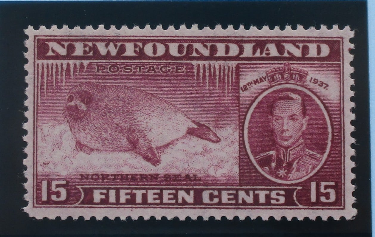 Newfoundland Stamps, 1937, SG263, Mint image 0