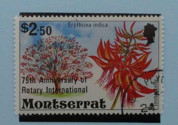 Montserrat Stamps, 1980, SG467, Used image 0