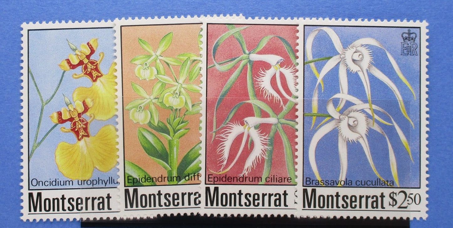 Montserrat Stamps, 1985, SG631-634, Mint image 0