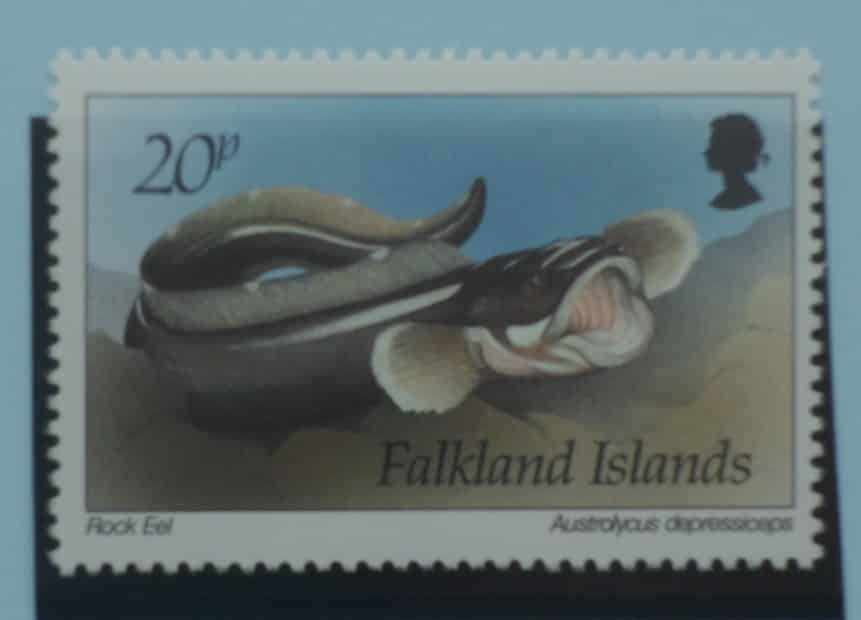 Falkland Islands Stamps, 1994, SG706, Mint image 0