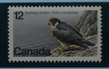 Canada Stamps, 1978, SG906, Mint image 0