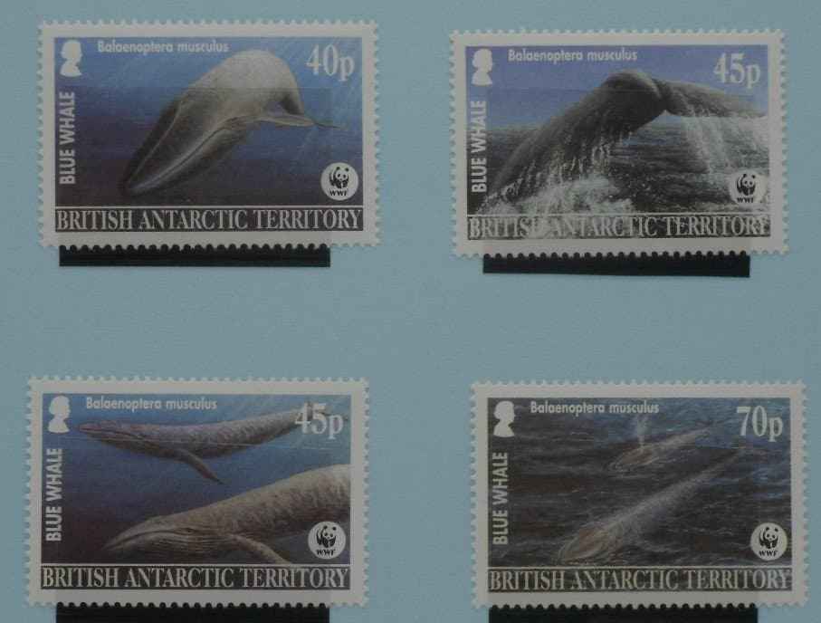 British Antarctic Territory Stamps, 2003, SG361-364, Mint image 0